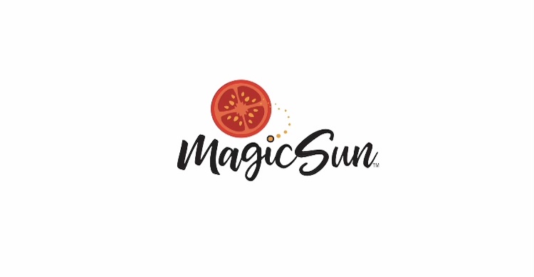 MAGIC SUN